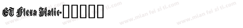 GT Flexa Italic字体转换